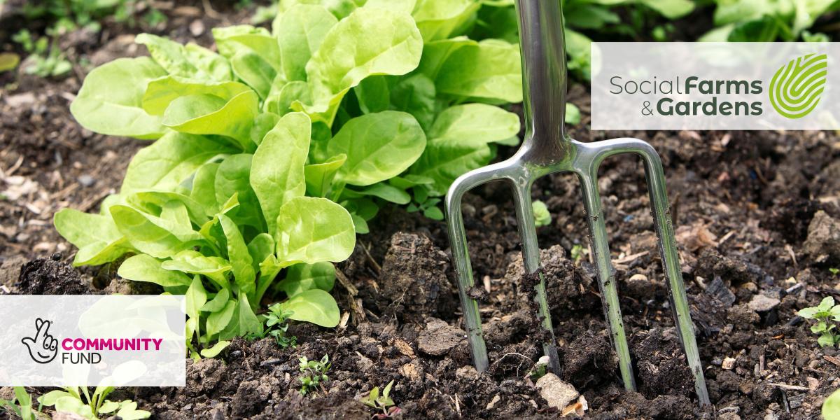 Image shows a vegetable bed with a gardening fork stuck in the ground. There are logos representing Social Farms & Gardens and The National Lottery Community Fund. 