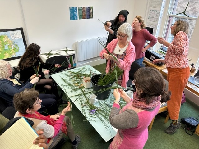 making_st_brigids_crosses_for_imbolc_at_the_office_opening_in_belfast.jpg