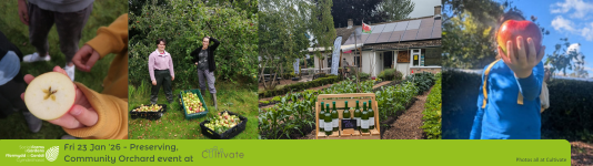 A selection of images of apples from Cultivate