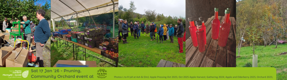 A selection of images from events at Ash & Elm Horticulture 2024 to 2025