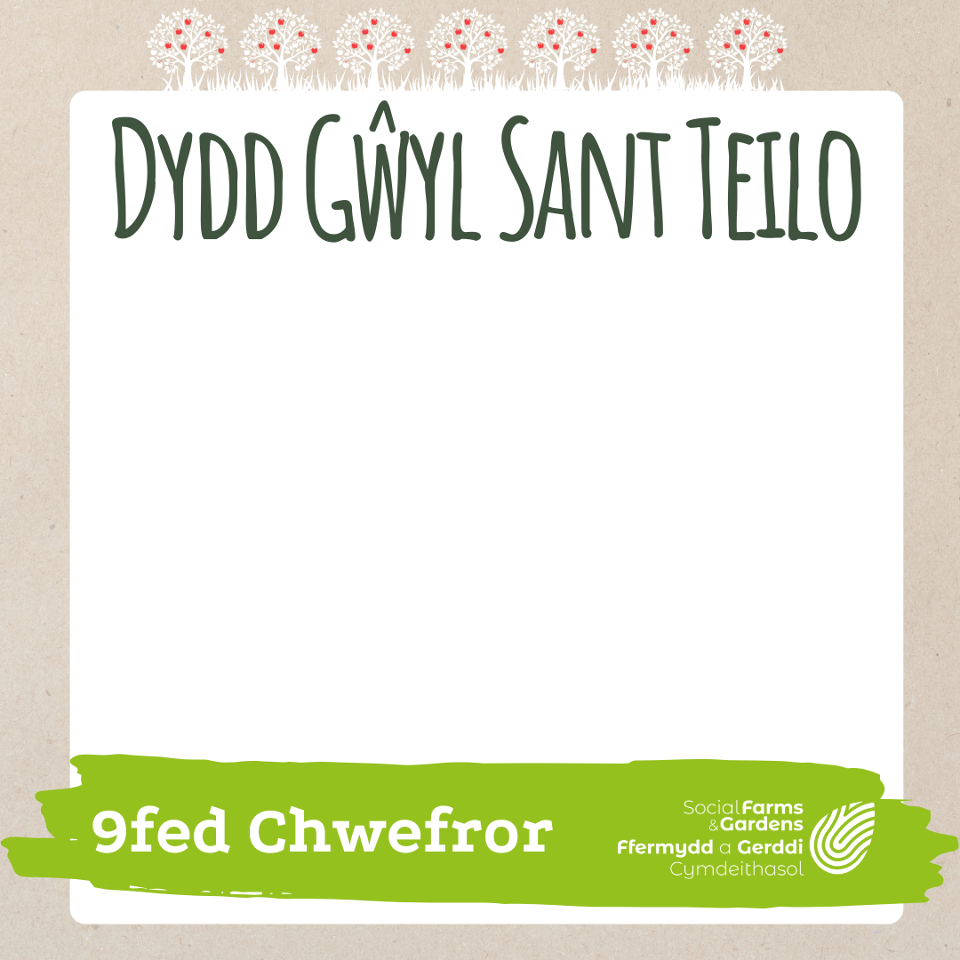 What do you plan to do for St Teilo's Day on February 9th? | Social ...