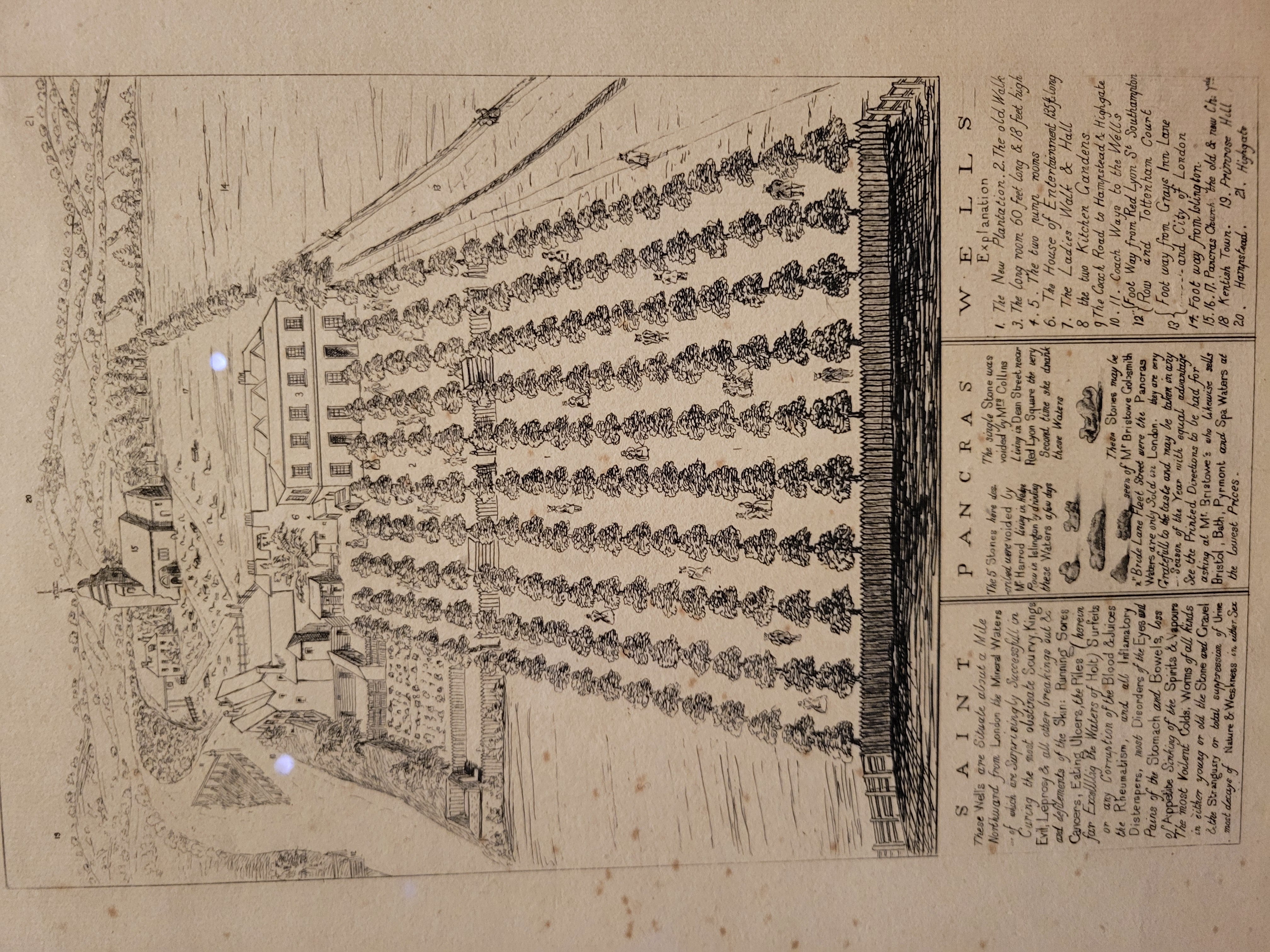 A 17th Century book features a rural kings cross with rows of fruit trees and a handful of buildings. 
