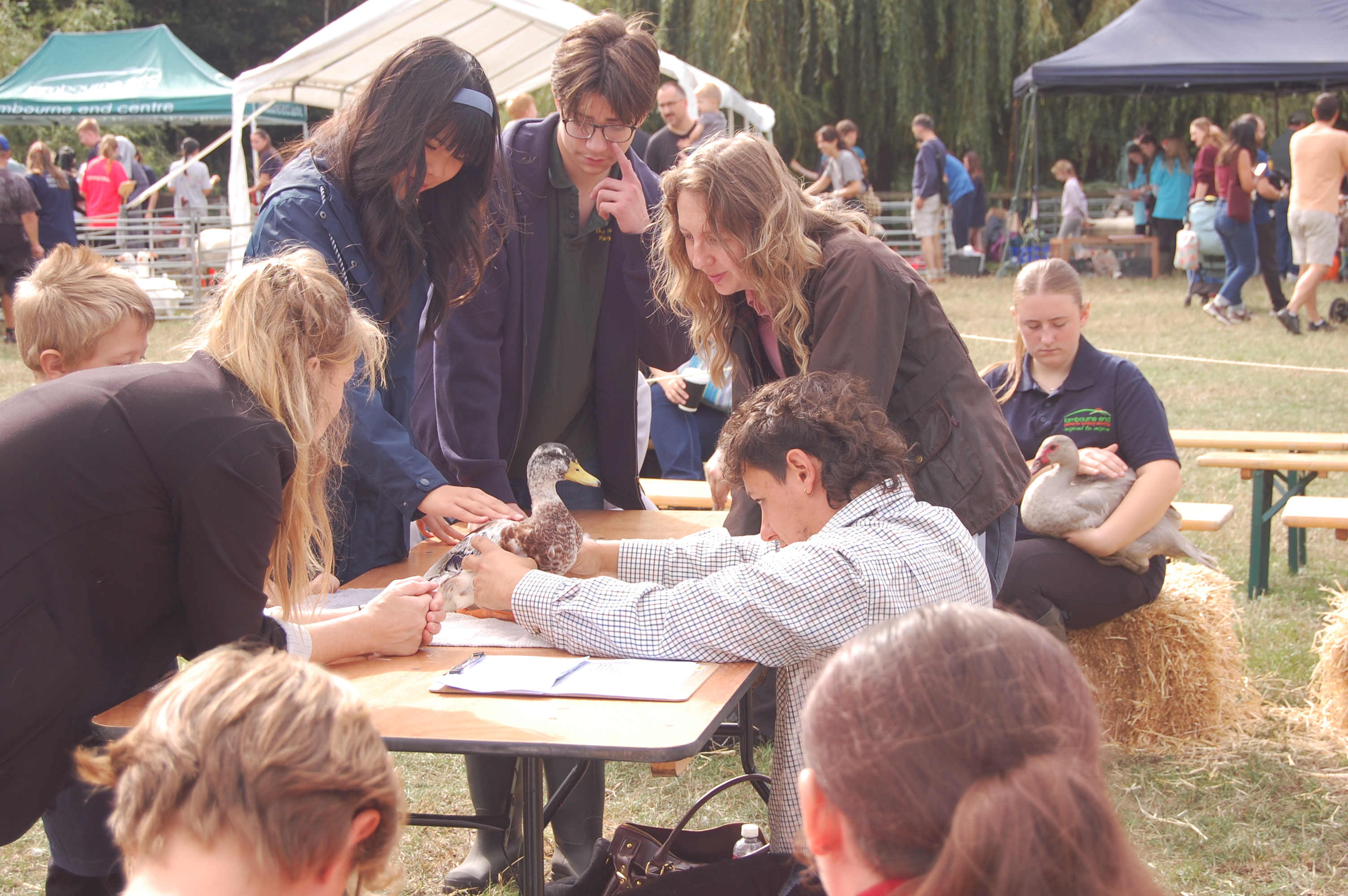 a group of young farming judges look at a duck