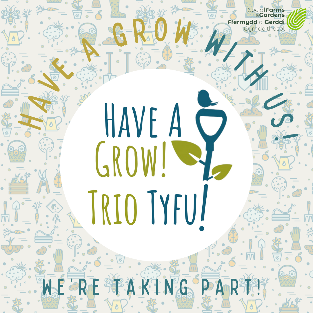 Have a Grow social square ENG