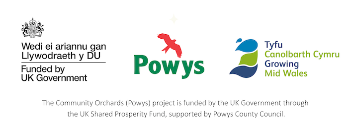 Wedi ei ariannu gan Llywodraeth y DU/Funded by UK Government, Powys County Council and Growing Mid Wales funder logos, accompanied by the text: The Community Orchards (Powys) project is funded by the UK Government through the UK Shared Prosperity Fund, supported by Powys County Council