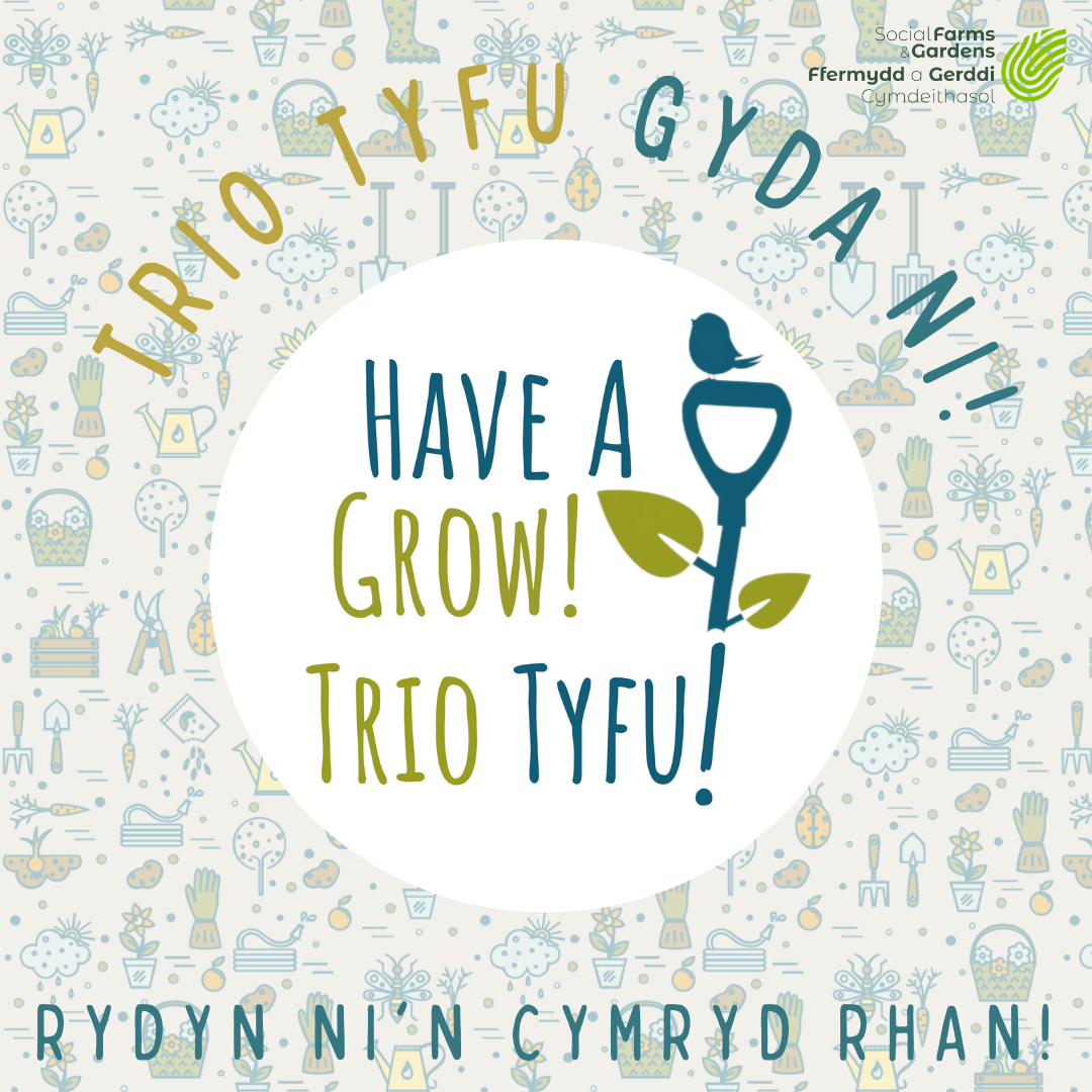 Trio Tyfu social square CYM