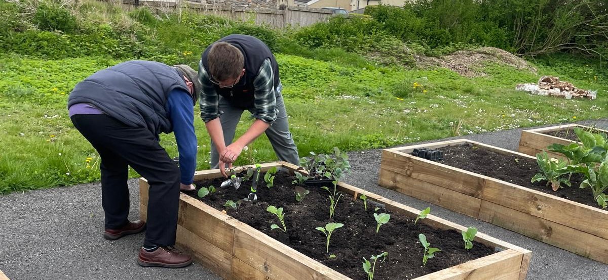 Capital grants in Carmarthenshire