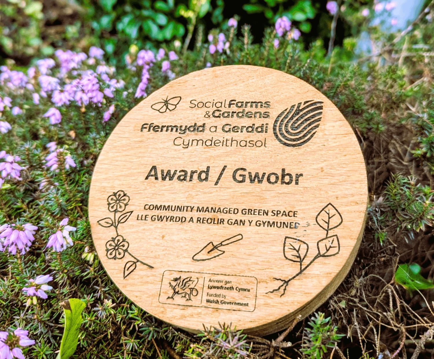 Award plaque made from recycled oak