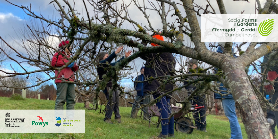 People in an orchard