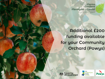 Powys Orchards