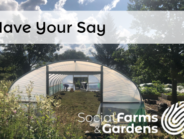 Ardrishaig community garden