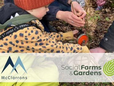 McClarrons and SF&G Insurance