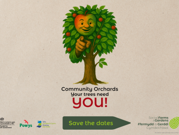 An apple tree pointing to the viewer