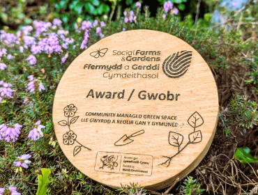 Award plaque made from recycled oak