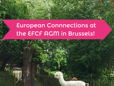 A shetland pony and an alpaca in front of towerblocks