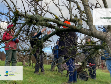 People in an orchard