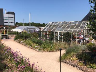Green space with city buildings in background