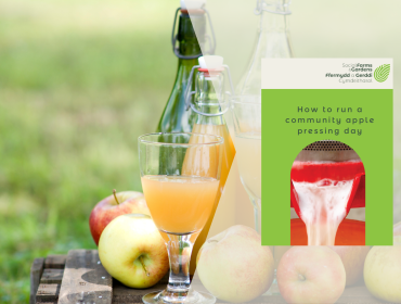 Apple pressing day resource cover