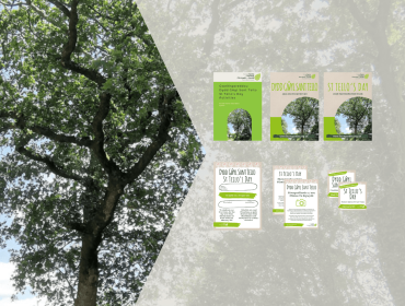 Images: of Arbre de Saint-Thelo, Landeleau, Brittany and of resources available to download to help community orchard groups celebrate St Teilo's Day