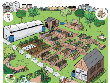 Community Growing for TaCC cover