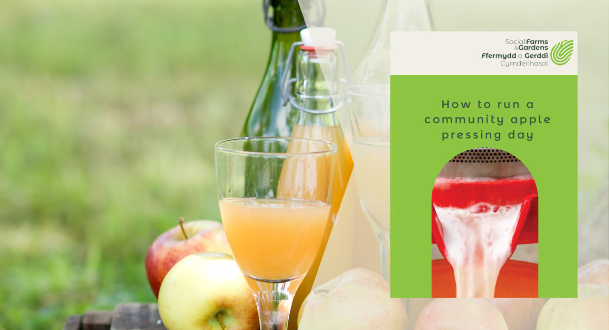 Apple pressing day resource cover