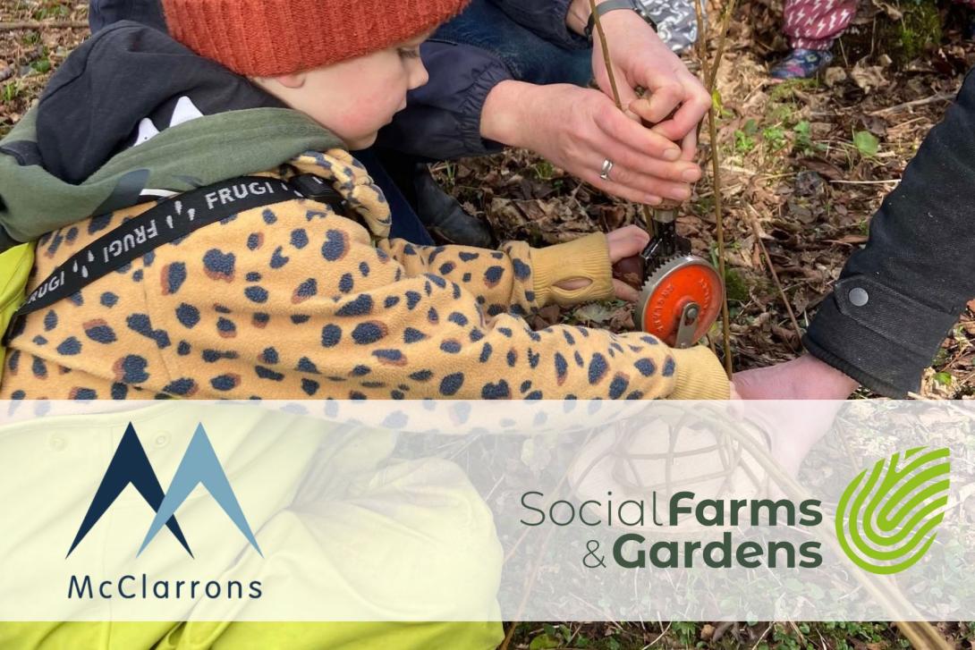 McClarrons and SF&G Insurance