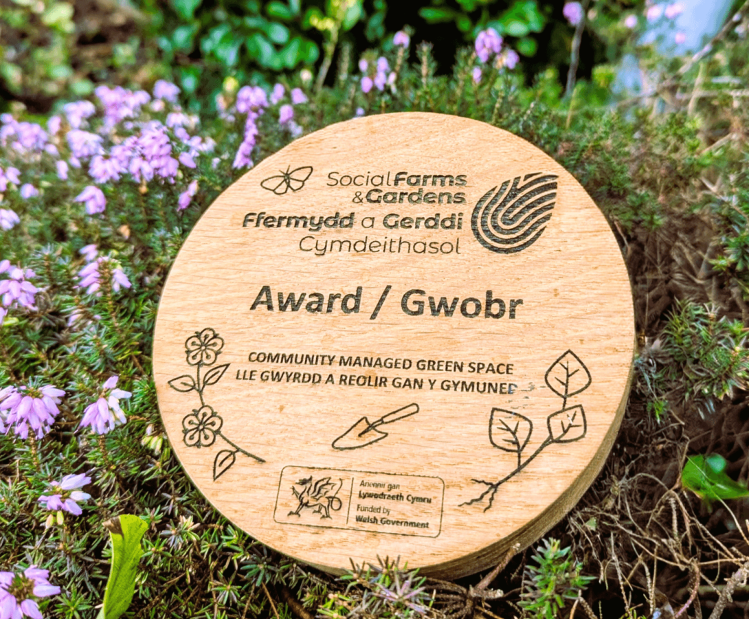 Award plaque made from recycled oak
