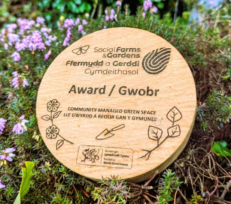 awardee plaque make from reclaimed oak, resting on heather