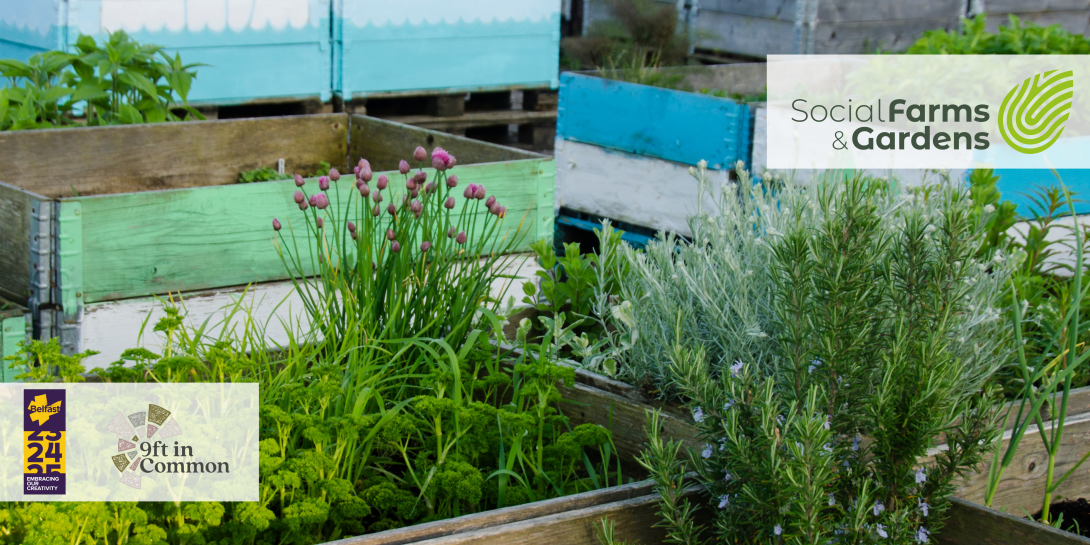 Raised veg beds with logo overlay