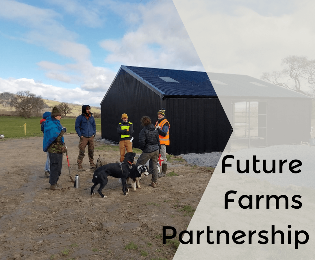 Future Farms | Social Farms & Gardens