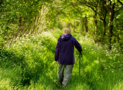 A person walking outside amongst green grass and trees
