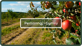 cym_orchards_for_wales_proj.png
