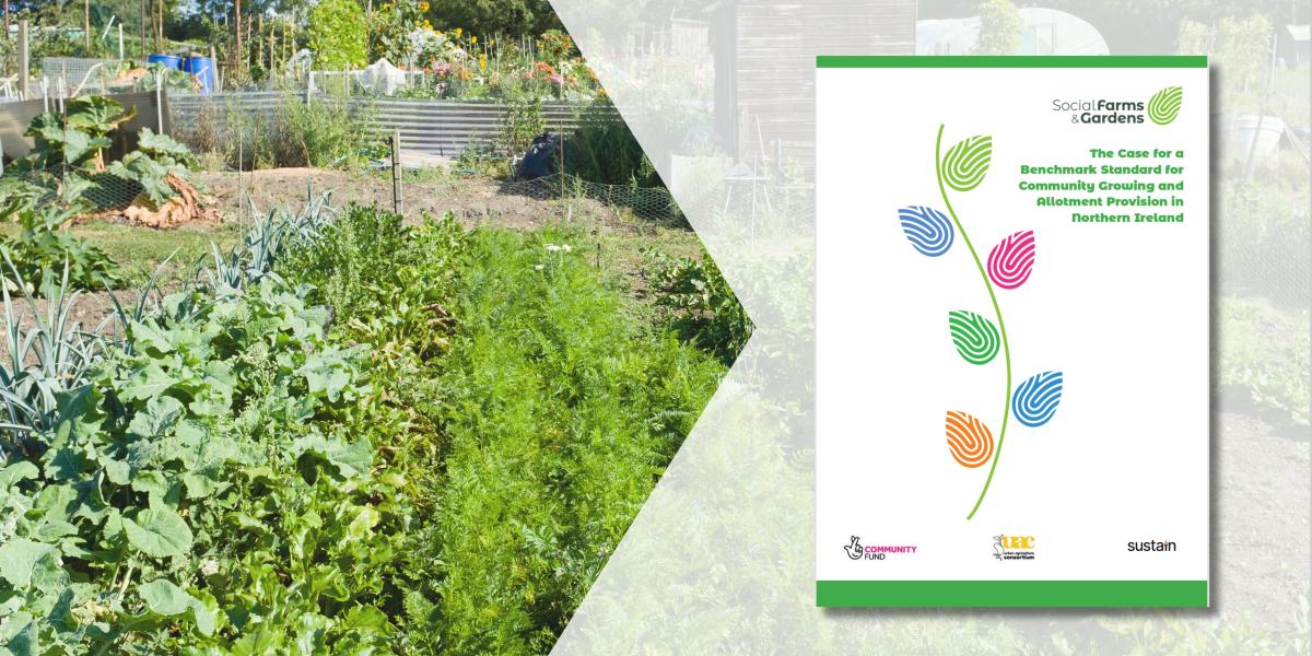 Image shows a green leafy allotment on the left. To the right is a semi-transparent background featuring the Northern Ireland Community Growing Benchmark Report front cover. 