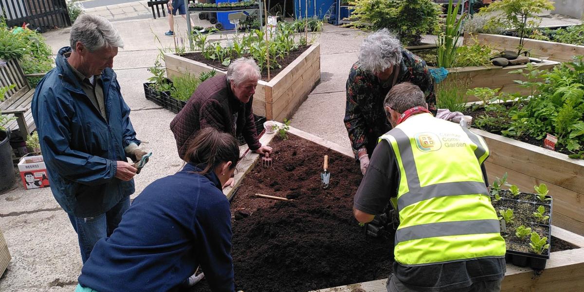 Image shows a group of people planting a raised bed at a community project in Northern Ireland. 