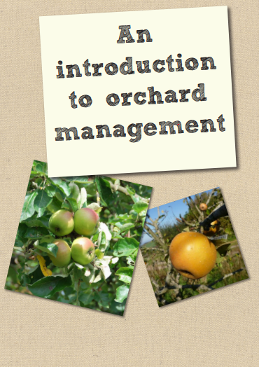 orchards_web.png